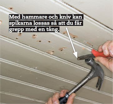 Paneltak inomhus Paneltak inomhus